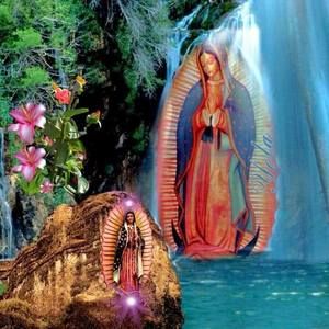 Meet your Posher, Eva